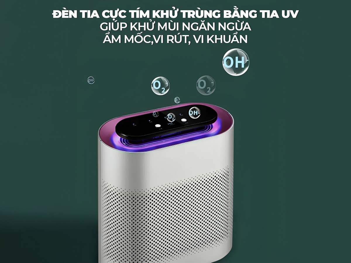 Máy hút ẩm lọc không khí mini Airplus YHJ-A