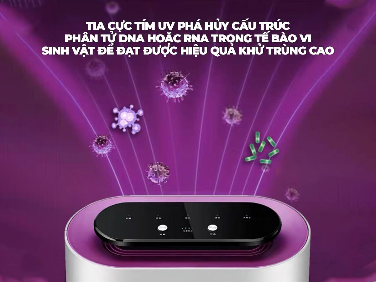 Máy hút ẩm lọc không khí mini Airplus YHJ-A